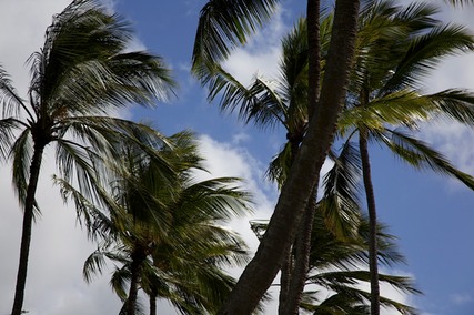 IMG 7152